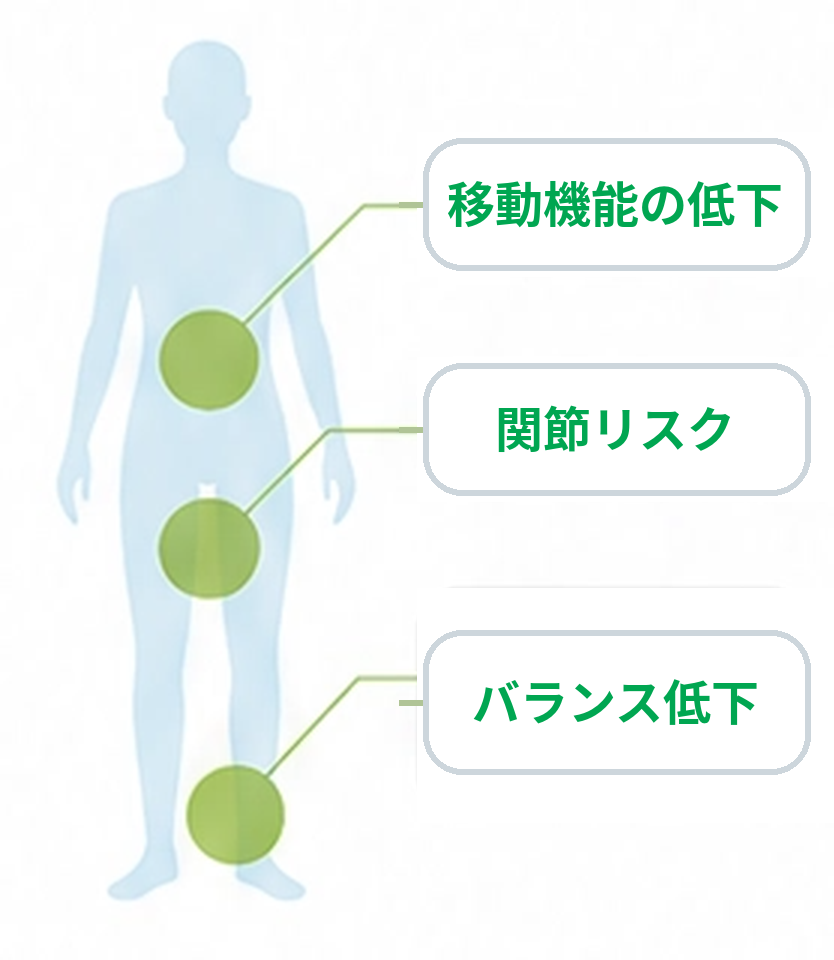 ロコモで低下する機能:筋力の低下・関節の不調・バランス能力の低下